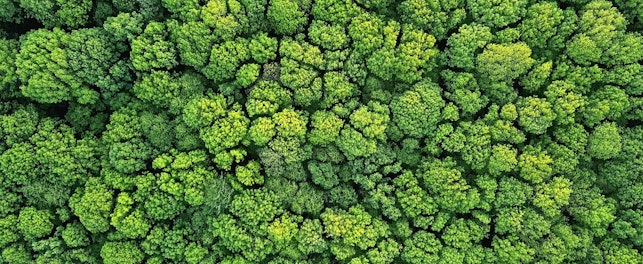 „Ziemianie atakują! Nowe Narracje” to projekt wspierany przez SGS Polska, w ramach którego powstaje seria poradników nt. komunikacji o kryzysie klimatycznym.